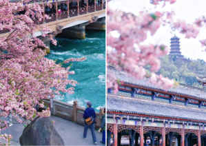 四川旅行 P10
